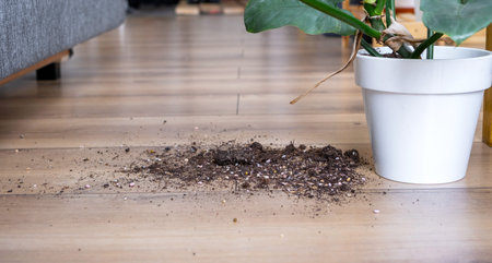 houseplant fell to the floor and the soil from the pot crumbled, garbage, dirt and mess due to the fall of the planters from the rack. Care and cleaning of shelves in the interior of a green houseの写真素材