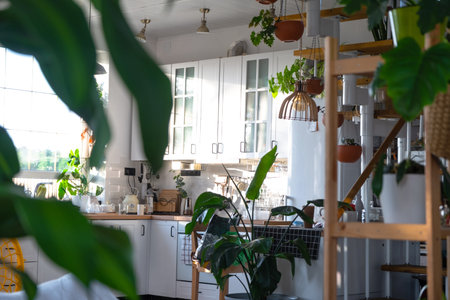 The interior of a white kitchen with a metal staircase in a cottage with potted plants in hanging...