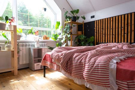 Unmade bed with red striped linen and a mess in Loft style bedroom interior, black wall with wooden slats, metal bed, potted plants on a trapezoidal window in the attic. Modern Green Houseの写真素材
