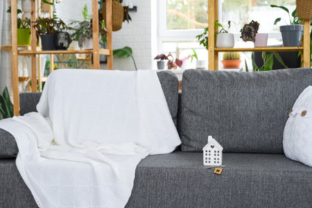 Key to home with keychain and miniature of house on gray sofa in white interior with potted plants. Design, project, moving to new house, mortgage, rent and purchase real estateの写真素材
