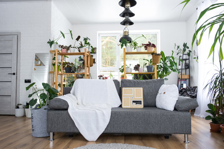 Key to home with keychain and mock up frame miniature of house on gray sofa in white interior with potted plants. Design, project, moving to new house, mortgage, rent and purchase real estateの写真素材