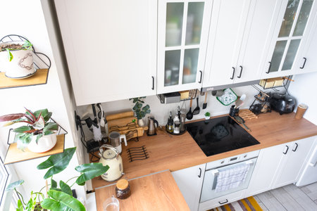 Light white modern rustic kitchen decorated with potted plants, loft-style kitchen utensils. Interior of a house with homeplantsの写真素材