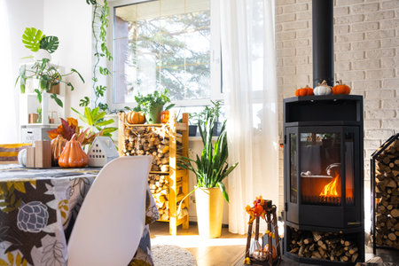 Bright sunny interior of the house with Black Metal Steel fireplace stove with fire and firewood with Halloween decor and autumn mood. Cozy home hearth in interior with indoor potted plantの写真素材