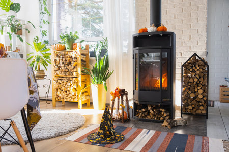 Bright sunny interior of the house with Black Metal Steel fireplace stove with fire and firewood with Halloween decor and autumn mood. Cozy home hearth in interior with indoor potted plantの写真素材