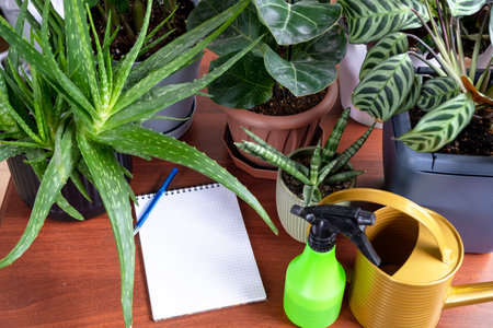 An empty mock up notebook with a pen on a table with home potted plants. Recording recommendations for plant careの写真素材