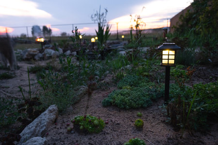 Solar-powered lanterns for flower beds in the yard of the house for decorative street lighting and landscapingの写真素材