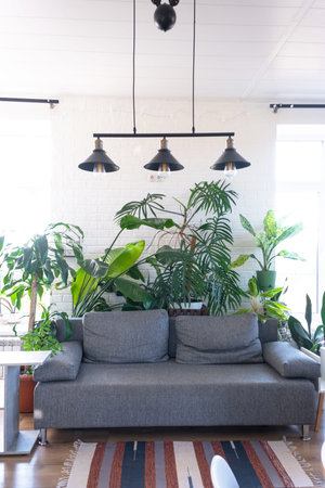 Modern loft-style interior of house features large potted plants, white brick wall, gray sofa, a striped rug, and large windows.の写真素材