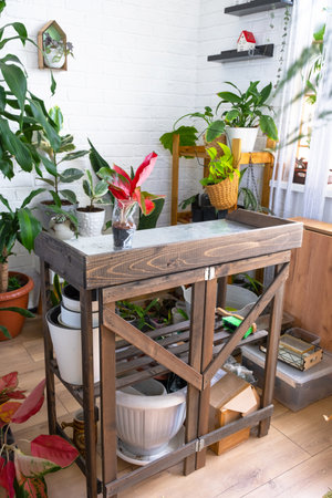 A floral table for the care and transplantation of potted plants, a home hobby for growing and selling plants in the interior of a green houseの写真素材