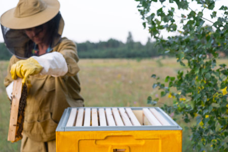 A beekeeper, a woman in a protective suit against bee stings, holds a frame with honey from a bee...
