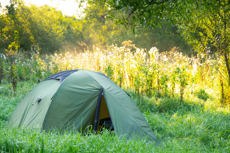 Installed tourist tent in a camping in nature in the forest. Domestic tourism, active summer holidays, family adventures. Ecotourism, sport, hike. Copy space, mock upの写真素材