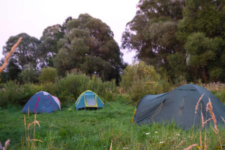 Installed tourist tent in a camping in nature in the forest. Domestic tourism, active summer holidays, family adventures. Ecotourism, sport, hike. Copy space, mock upの写真素材
