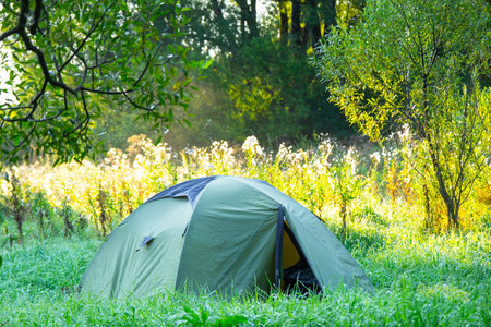 Installed tourist tent in a camping in nature in the forest. Domestic tourism, active summer holidays, family adventures. Ecotourism, sport, hike. Copy space, mock upの写真素材