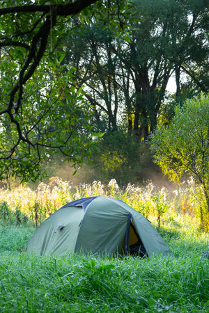 Installed tourist tent in a camping in nature in the forest. Domestic tourism, active summer holidays, family adventures. Ecotourism, sport, hike. Copy space, mock upの写真素材