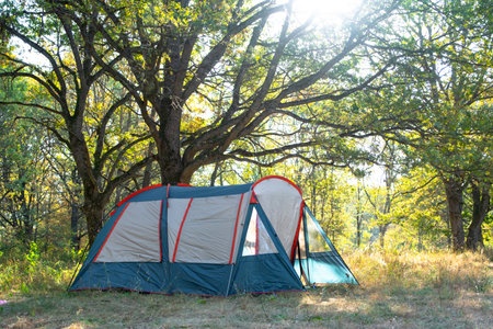 Installed tourist tent in a camping in nature in the forest. Domestic tourism, active summer holidays, family adventures. Ecotourism, sport, hike. Copy space, mock upの写真素材