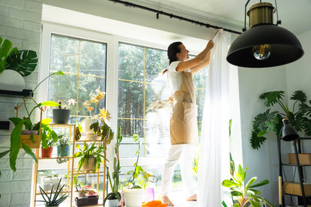 Woman in apron hangs transparent tulle curtains on large windows in the house inside the interior with potted plants. Spring cleaning, tidying upの写真素材