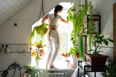 Woman in rubber gloves and apron manually washes window of house in bathroom with rag cleaner and mop inside interior with home plants. Restoring order and cleanliness, cleaning serviceの写真素材