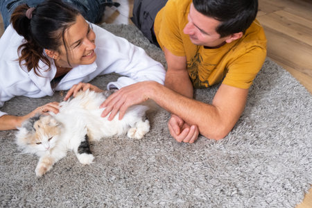 Couple plays with a domestic cat on the carpetの写真素材