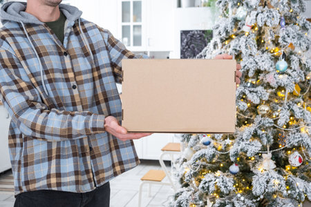 A courier with a parcel box in the kitchen with white Christmas decorations and a Christmas tree....