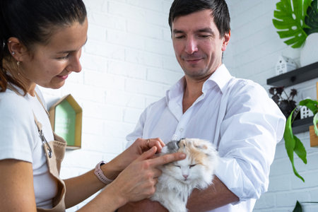 A veterinarian checks the health of a bandaged cat in a blanket after a sterilization operation, together with a female assistantの写真素材