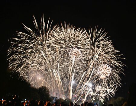 A view of a Firework display at Battersea Park in Londonの写真素材