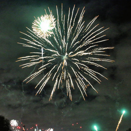 A view of a Firework display at Battersea Park in London