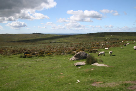 A view of Dartmoor National Park from the summitの写真素材