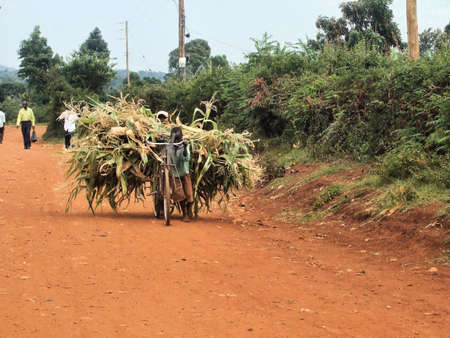 A view of rural life in Kimilli in Kenyaのeditorial素材