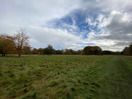 A view of Tatton Park in Cheshire in the Autumn sun