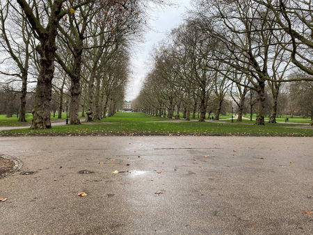 A view of Greenwich Park in Londonの写真素材