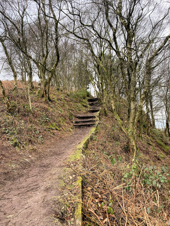 A view of the Woods around Bickerton in Cheshire
