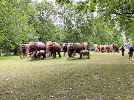 London in the UK in July 2021. A view of some wooden Elephants in a London Parkのeditorial素材