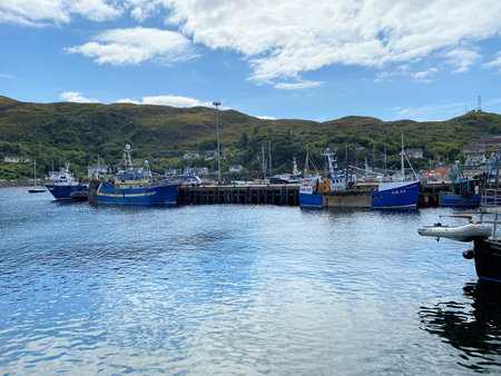 A view of Mallaig Harbour showing the fishing boats in August 2021