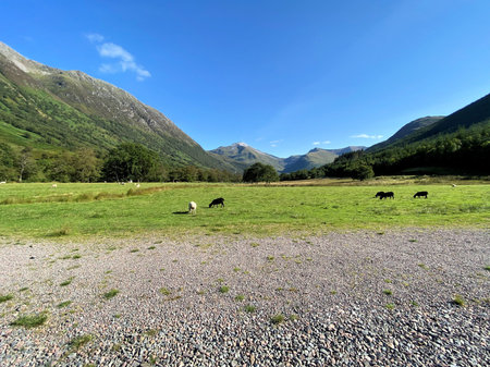A view of the Scottish Countryside near Ben Nevisの写真素材