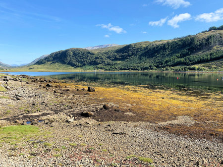 A view of the Scottish Countryside near Glenfinnan
