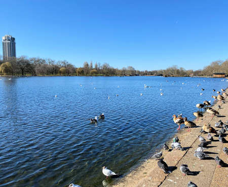 A view of Hyde Park in Londonの写真素材