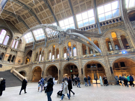 London in the UK in December 2022. A view of the interior of the Natural History Museumのeditorial素材