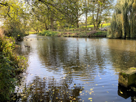 A view of Bunbury in Cheshire
