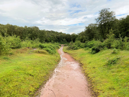 A view of the Cheshire Countryside near Bickertonの写真素材