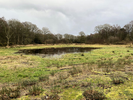 A view of Brown Moss Nature Reserve on a Spring day in March