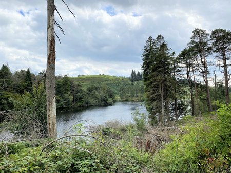 A view of the Lake District at Tarn Howsの写真素材