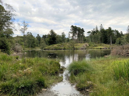 A view of the Lake District at Tarn Howsの写真素材