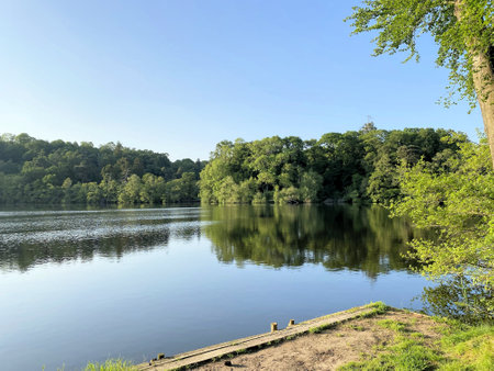 Lake and forest on a cloudy day in the summer season. Nature near Ellesmere in Shropshireの写真素材