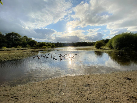 Reflection of clouds in the water at low tide in the parkの写真素材
