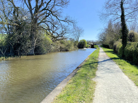 A view of a canal in the countryside in the spring season near Whitchurch in Shropshireの写真素材