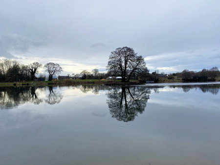 A view of a lake with trees reflecting in the water under a cloudy sky.
