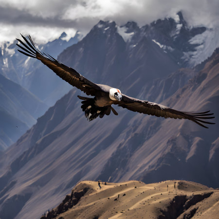 A view of a Condor over the Andesの素材