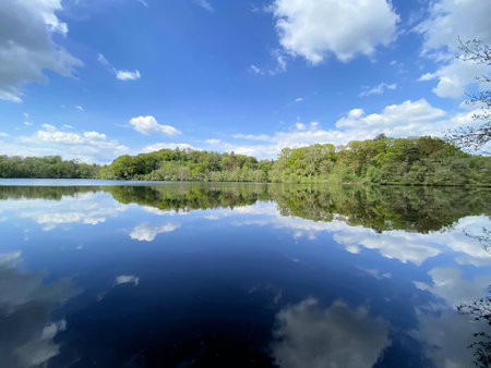 Lake in the forest and clouds reflected in the water, spring landscape at Blakemere lake near Ellesmere in Shropshireの写真素材