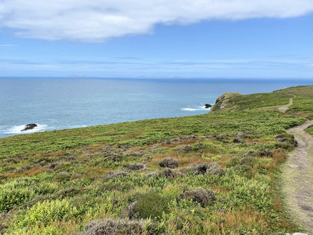 Hiking trail on the north coast of Cornwall, England, UK