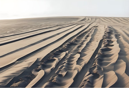 Sand dunes in the desert of Dubai, United Arab Emirates.の素材