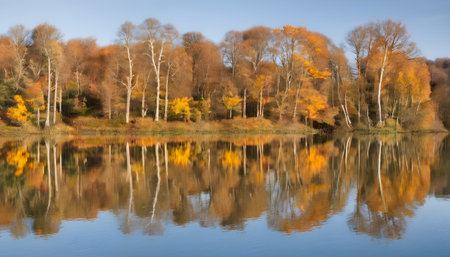 Reflection of trees in the lake in autumn. Beautiful landscape.の素材
